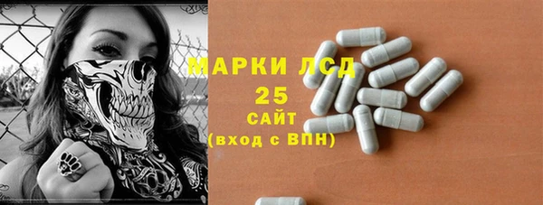 прущие грибы Алексин
