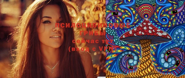 прущие грибы Алексин