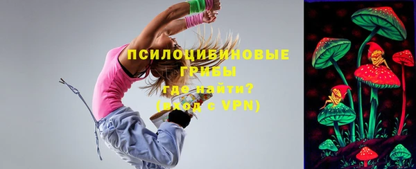 2c-b Алзамай