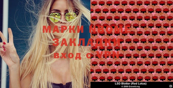 прущие грибы Алексин