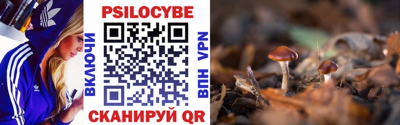 Псилоцибиновые грибы Cubensis  KRAKEN ССЫЛКА  Октябрьск  где продают наркотики 